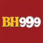 BH999 Game